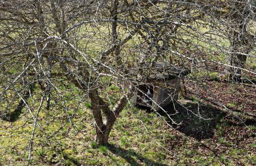 Ferienwohnung Schartenschmiede - Foto 30