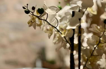 Tetti di Trevi - Foto 22