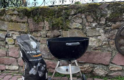 Gite familiale avec piscine Hunawihr, proche de Ribeauvillé et Colmar - Foto 9