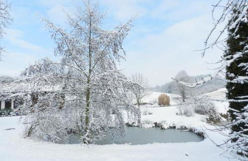 Wampendobler Paradies - Foto 22