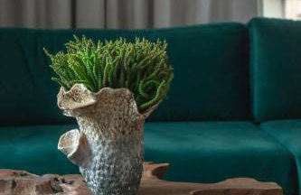 Apartamenty na Starówce ARISTON - Foto 70