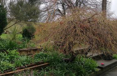 The Beeches - Foto 56