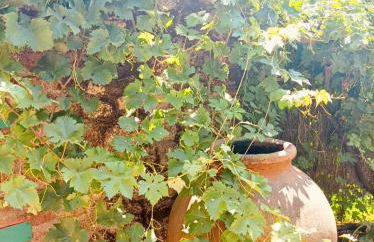 Casa rural Aloha Vera - Foto 40