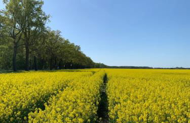 Ferienwohnung vor den Toren Berlins - Foto 38
