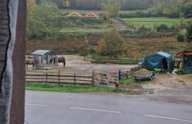 Chevaux au Soleil - Foto 53