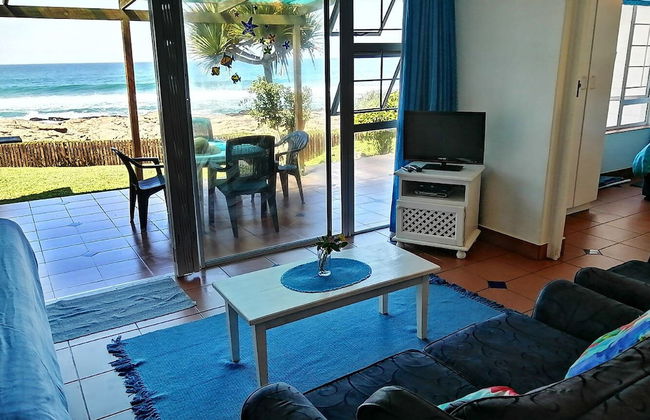 Southern Comfort - Starfish - Foto 6