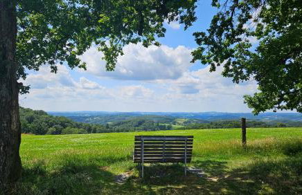Natur-Design "Platzhirsch Sauerland" - Sauna, Kamin, Balkon, Garten, Hütte, Grill - Foto 56