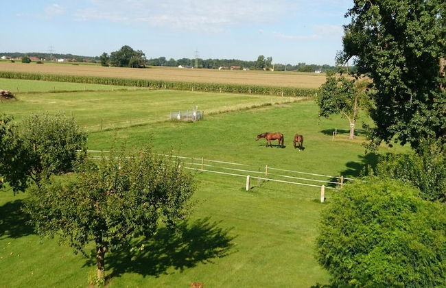 Ferienhof Fenzl - Foto 10