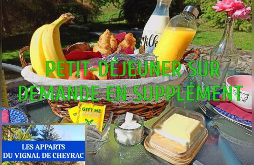 Les Apparts du Vignal de Cheyrac - Foto 7