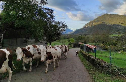 Cosy du Birdie Logement 4 pers avec piscine - Foto 39