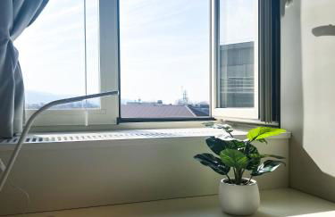 ComeCasa Mole Antonelliana view Terraced Attic - Foto 25