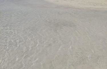 Villetta con giardino sulla Spiaggia della Pelosa - Foto 21