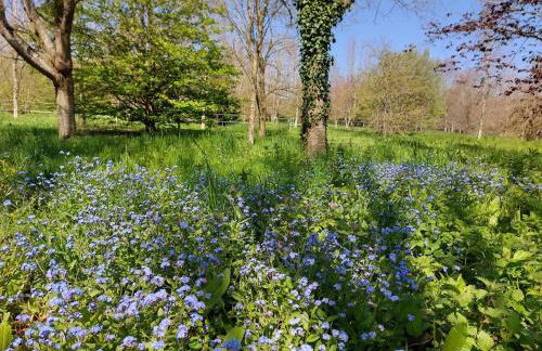 Escapade nature à deux dans un gîte cosy bordé d'un parc arboré - Foto 16