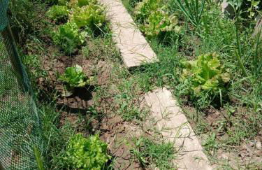 Garden Relax - Foto 38