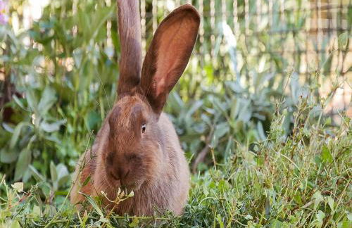 Tannenhof Epple - Foto 8