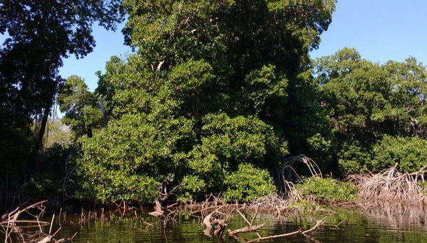 Black Lagoon in Puerto Marques