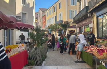 Suite Aubenas centre - château - Foto 15