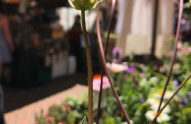 Upper Highview - Self Catering Apartment, fpventures Stroud - Foto 30