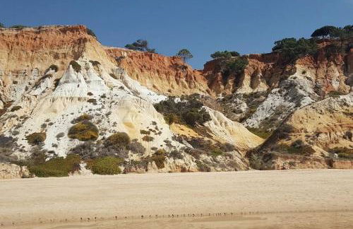 Magnifique Duplex avec piscine en bord de mer - Foto 26