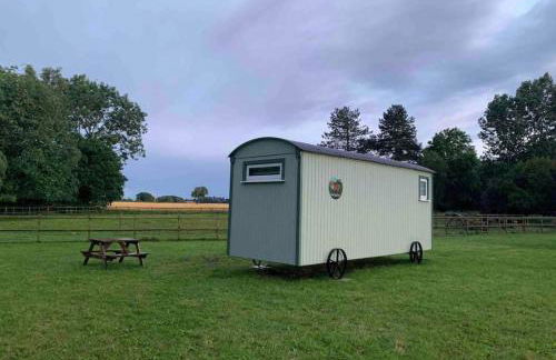 Starry Meadow & Rescued Animal Experiences - Foto 84