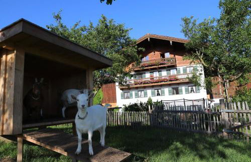 Heissenhof Urlaub auf dem Bauernhof - Foto 8