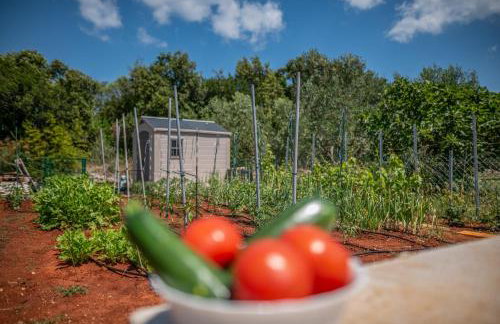 Apartment Varos with shared pool - Foto 38