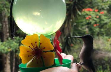 Refúgio Mata Atlântica, Riacho, Piscina, Natureza - Foto 39