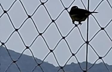 Studio São Lucas super localizado frente praia - Photo 35