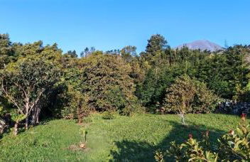 Casa do Almance - Foto 44