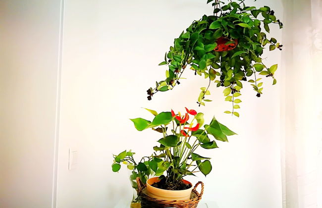 Xi'an Jintang Apartment - Foto 16