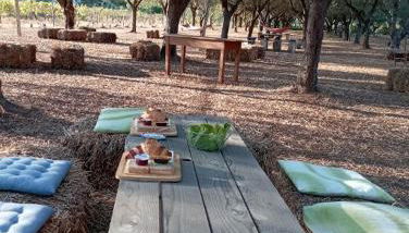 Tenuta L'uliveto - Foto 5