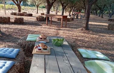 Tenuta L'uliveto - Foto 5