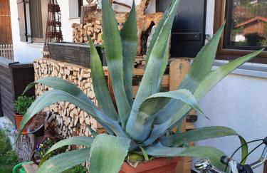 Ferienwohnung Heimbeck Kochel - Foto 24