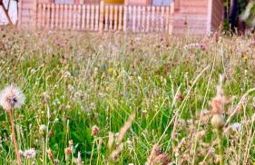 Śtyry Pory Roku - Foto 55