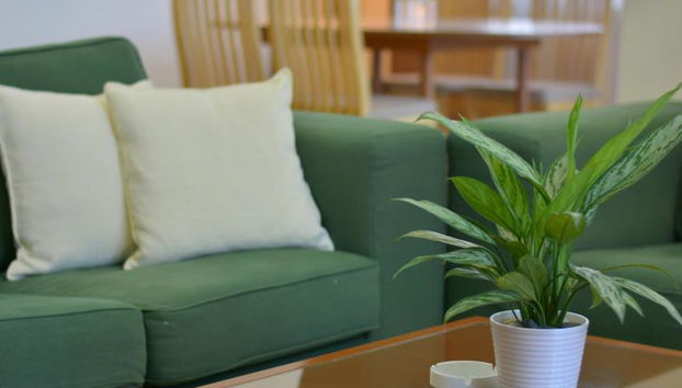 The Maple Suite - Foto 2