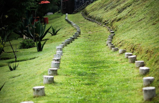 Los Vagones Cabañas Restaurante Bar - Photo 70