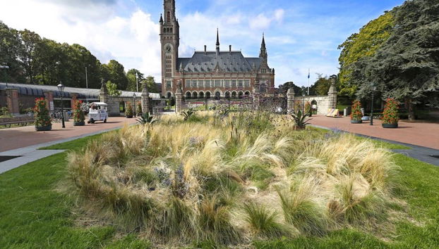 The Hague Private Walking Tour - Photo 4