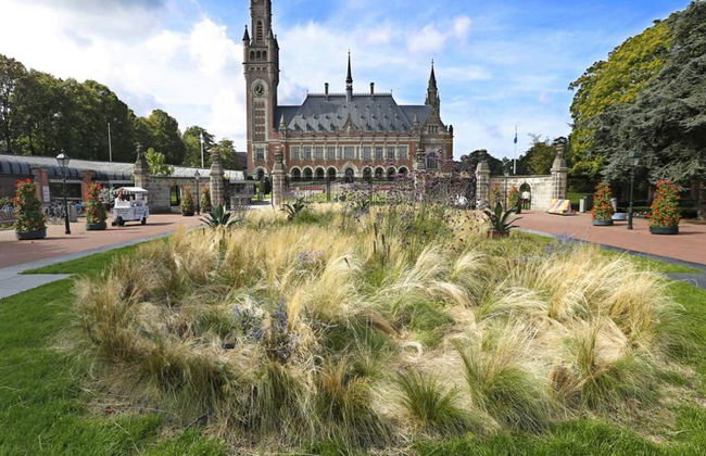 The Hague Private Walking Tour - Photo 4