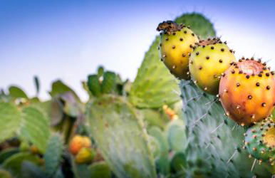 Da Assunta - Foto 18