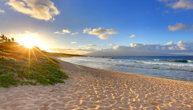 International Colony Club 13 - Foto 2, Exterior