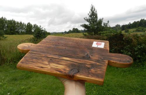 Pod tulipanem nad jeziorem - Foto 72