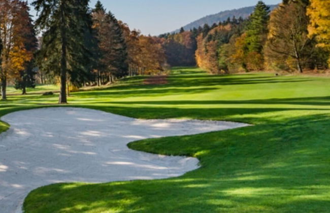 Villa Regensburg - Foto 37