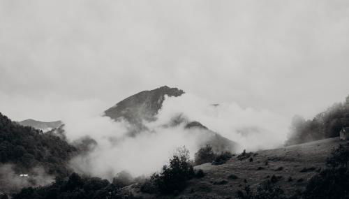 Tiny House Casa de Lili - Foto 5