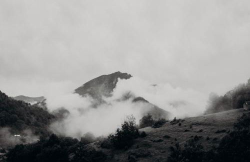 Tiny House Casa de Lili - Foto 5