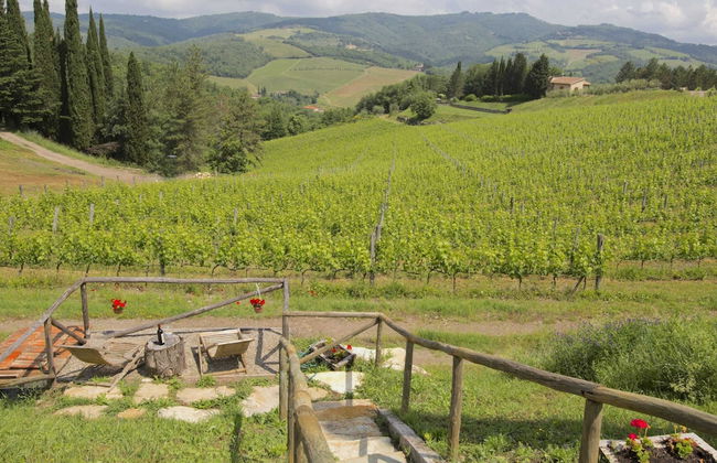 Chianti Hillside Farmhouse - Foto 33