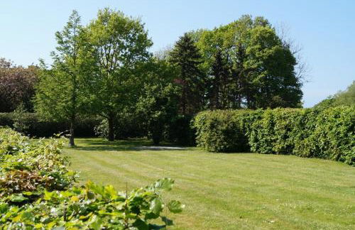 Silbermöwe - b65688 - Foto 14