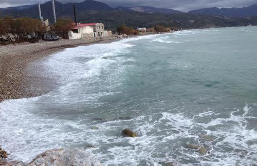 Jimmy's Place - Photo 69