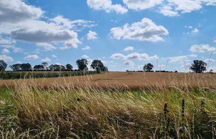 A quiet gem just outside Oundle - Foto 17