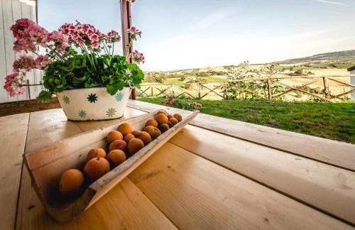 Colle Regnano - Foto 33