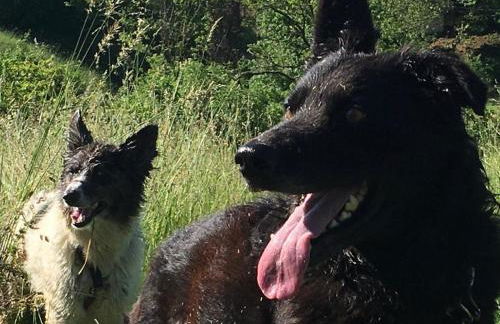 Agriturismo Fattoria Togonegro - Foto 11